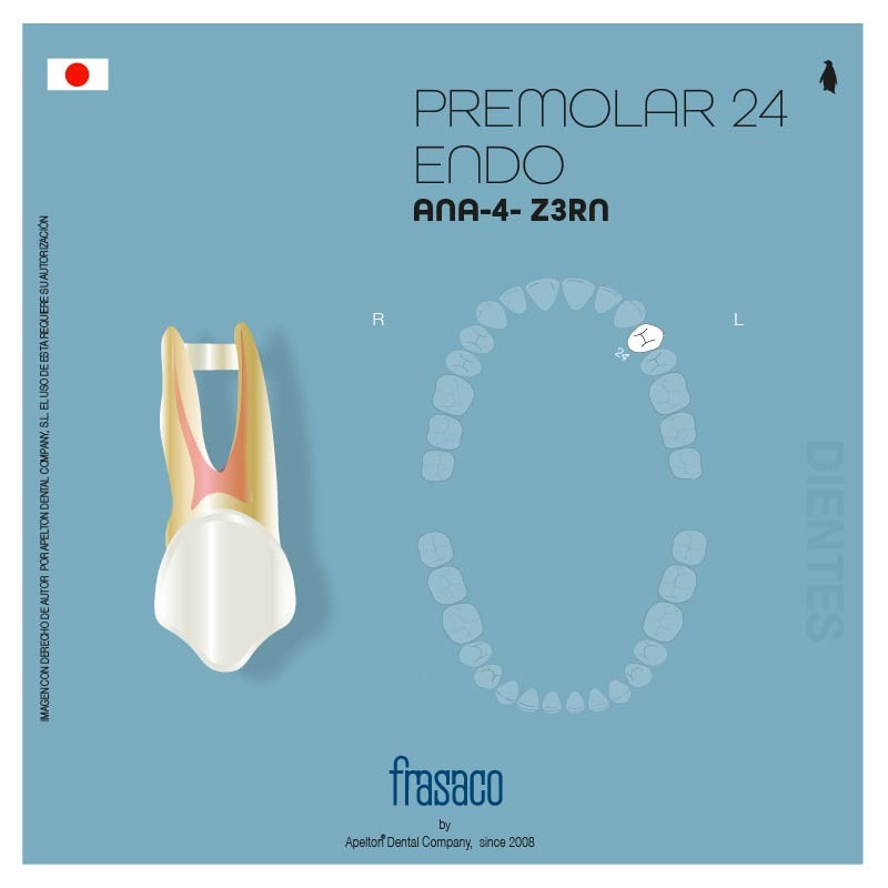 PREMOLAR 24 TOOTH ANA-4 Z3RN FRASCO
