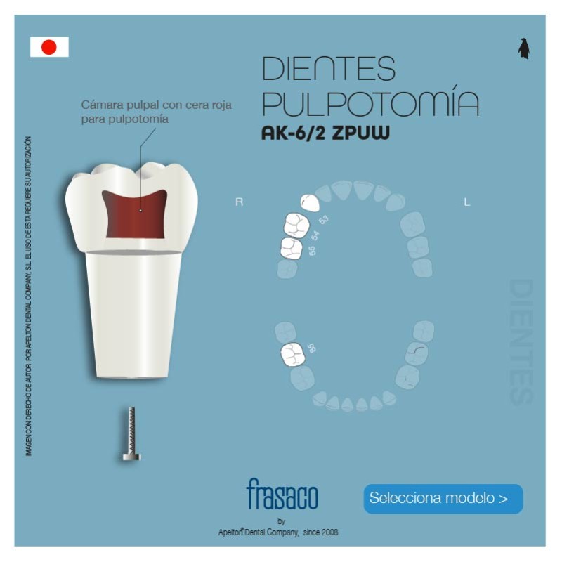 AK-6/2 ZPUW CHILDREN'S TEETH FRASACO
