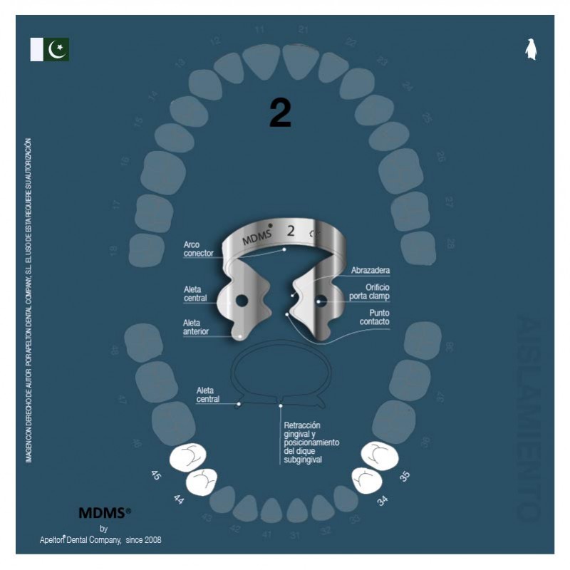CLAMP 2 MDMS PREMOLARS