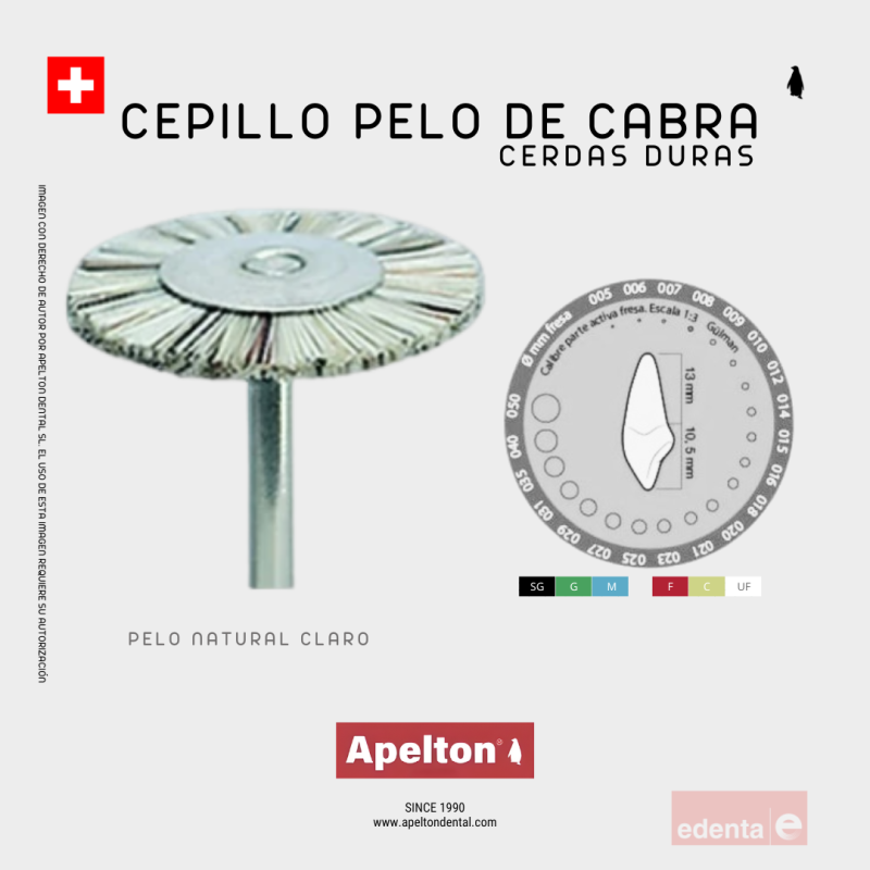 FRESA CEPILLO 2121 EDENTA