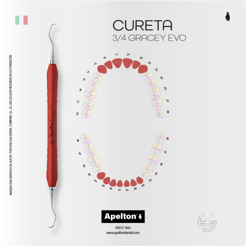 CURETA 3-4 GRACEY EVO RED DENTAG