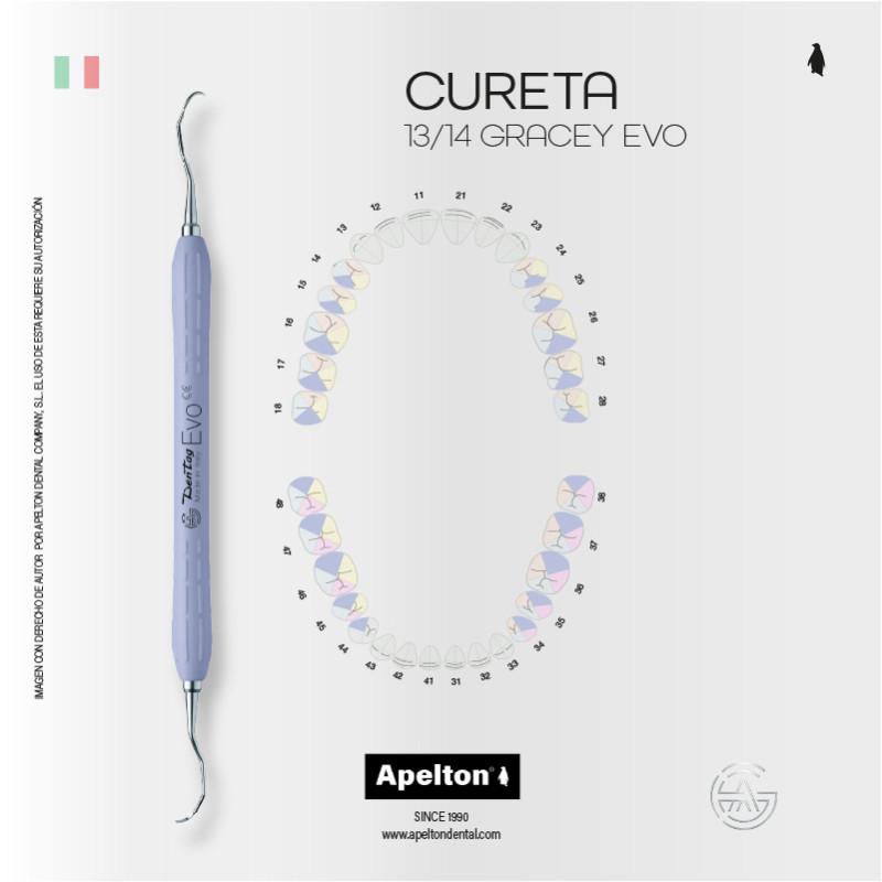 CURETA 13-14 GRACEY EVO VIOLET DENTAG