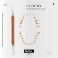 CURETA 15-16 GRACEY EVO ORANGE DENTAG