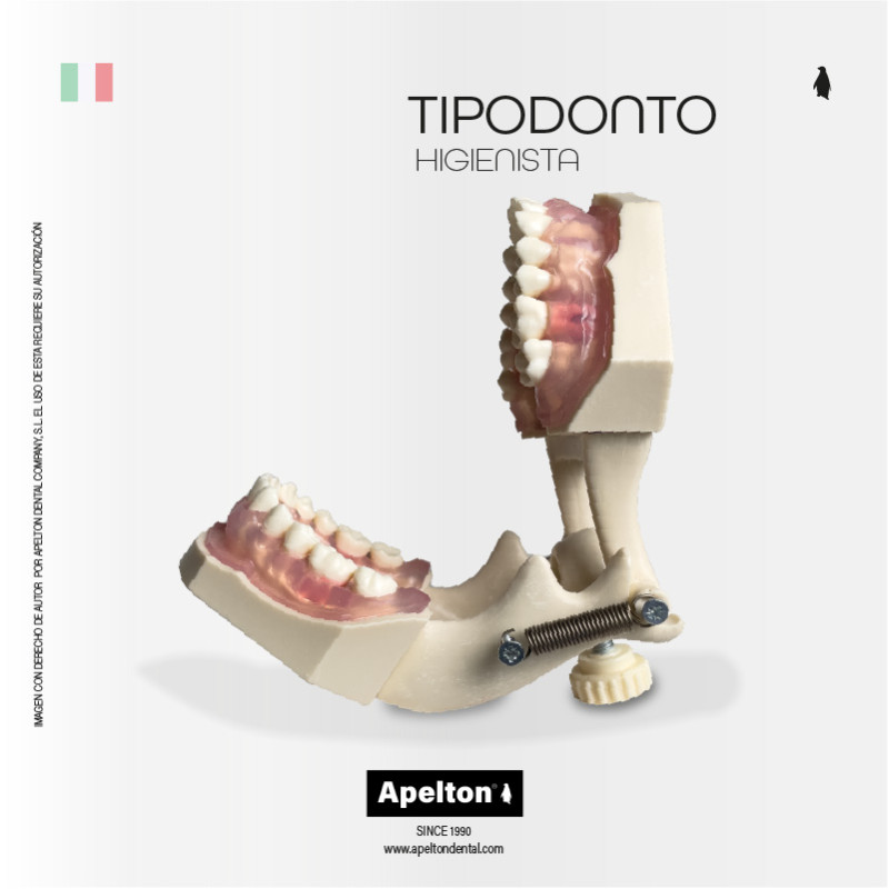 TIPODONTO HIGIENISTA TH GÜLMAN FOX