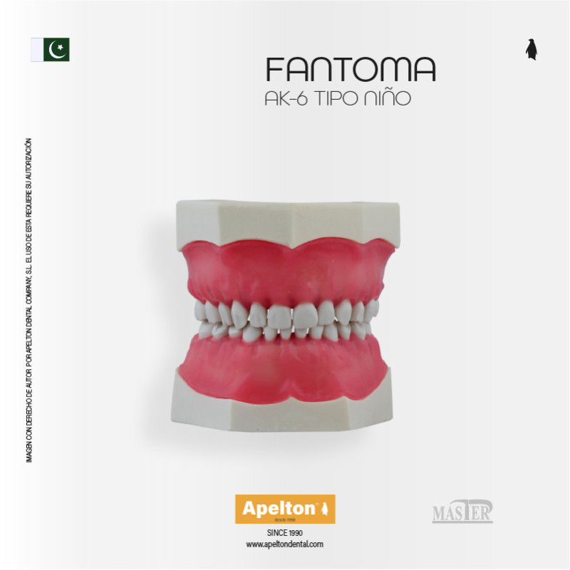 TIPODONTO TIPO AK-6 INFANTIL MASTER