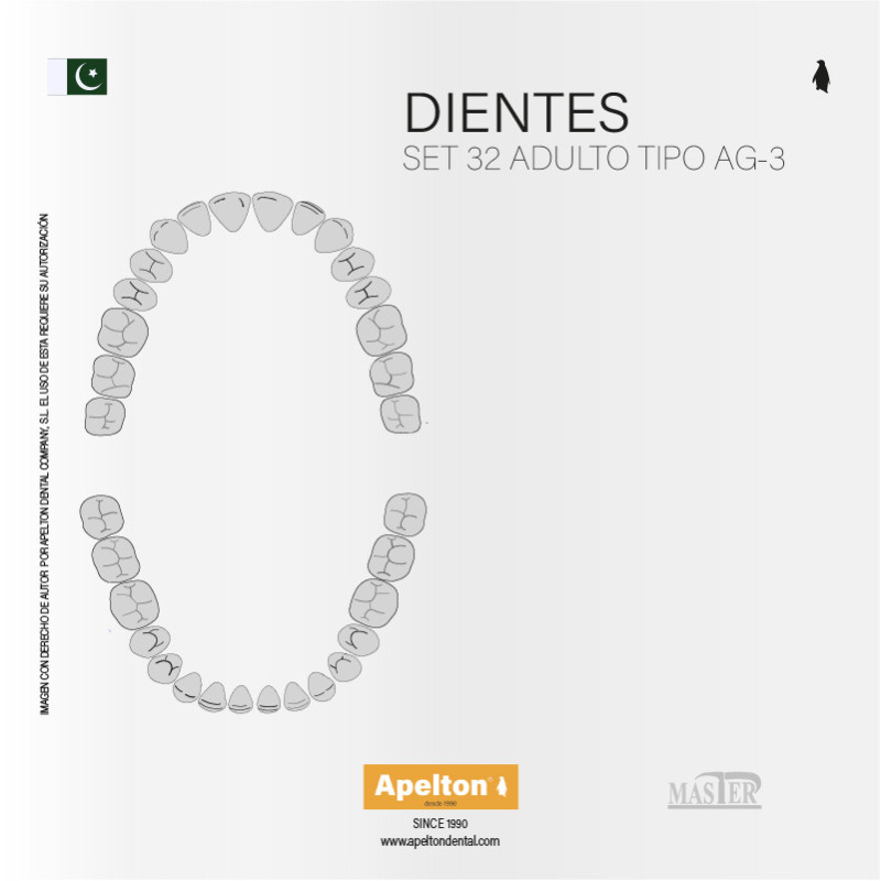 DIENTES  ADULTO AG-3-Z SET32 MASTER