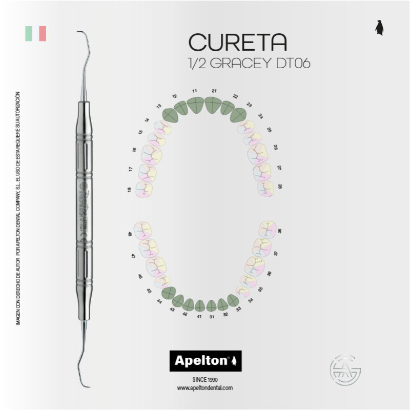 CURETA 1-2 GRACEY DT06 DENTAG
