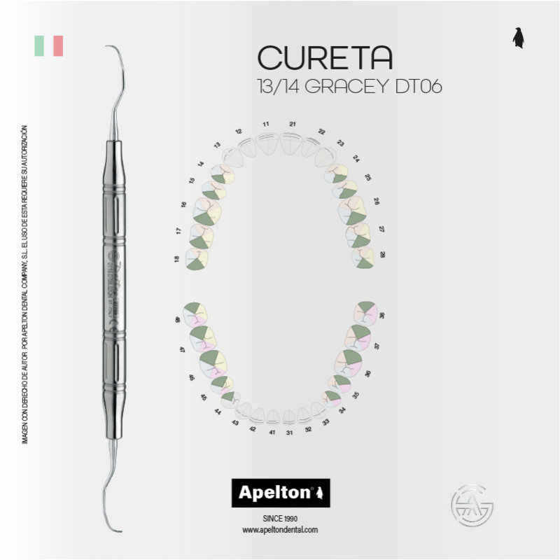 CURETA 13-14 GRACEY DT06 DENTAG
