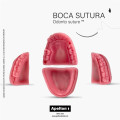 BOCA SINTÉTICA PARA SUTURA