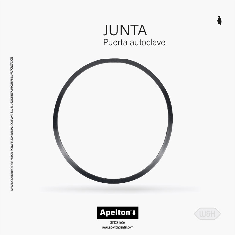JUNTA PUERTA AUTOCLAVE W&H