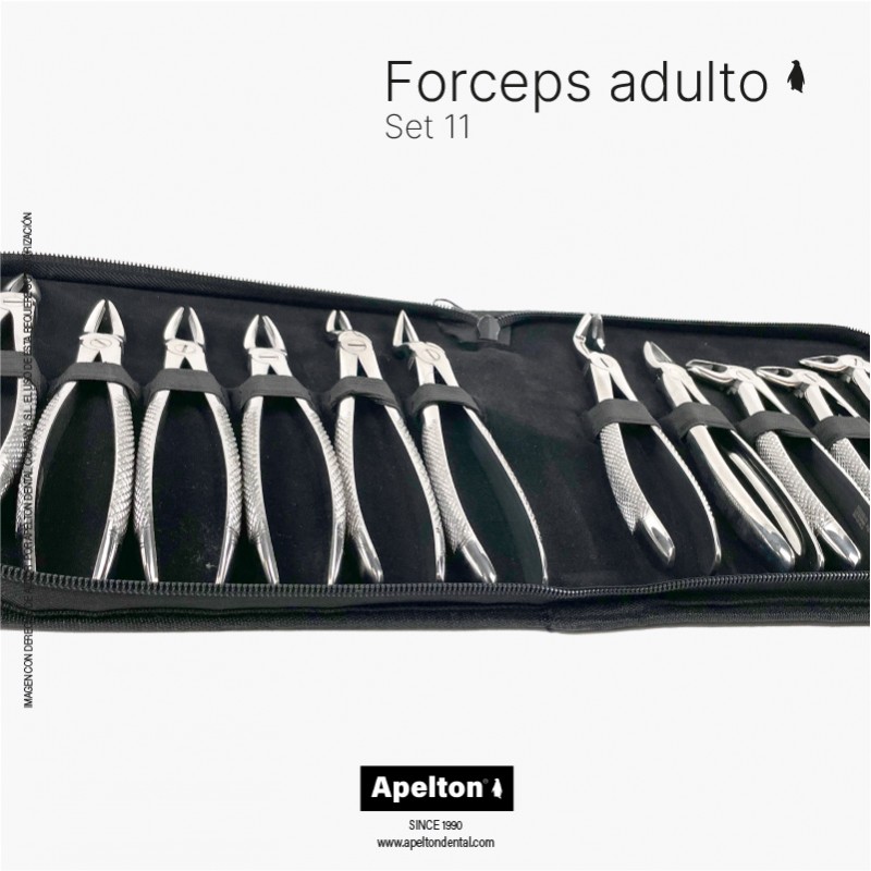 SET OF 11 EXTRACTING FORCEPS ADULT  MDMS
