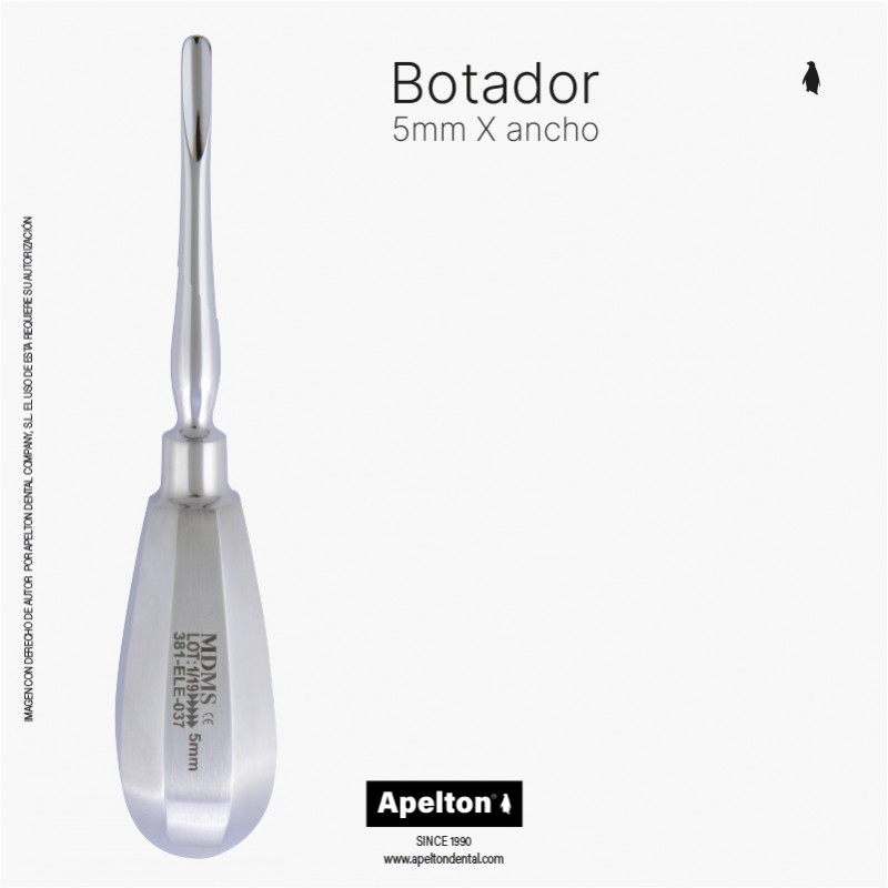 Nº5  BEIN ROOT ELEVATOR