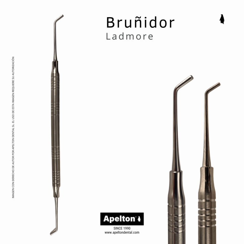 LADMORE BURNISHER MDMS