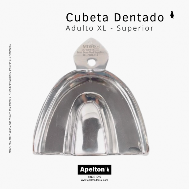 Cubeta XL superior para adulto dentado