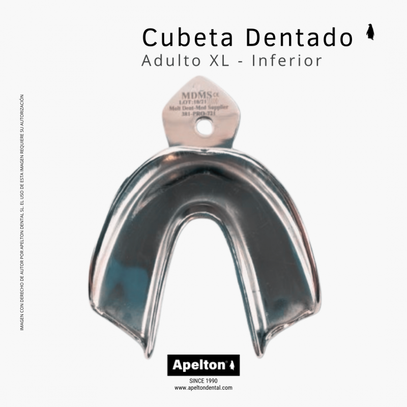 Cubeta XL inferior para adulto dentado.