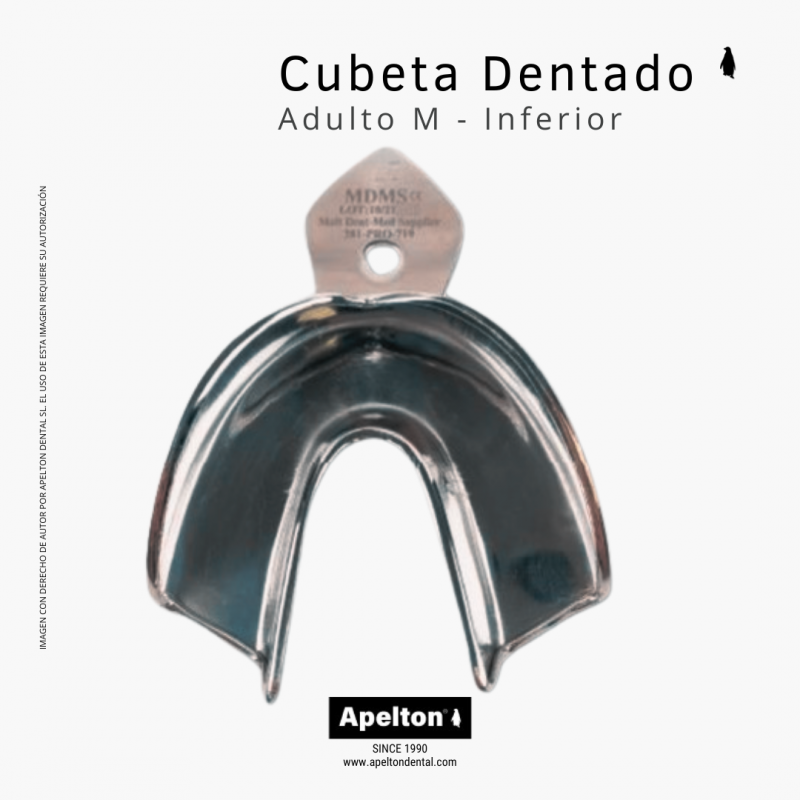 Cubeta tamaño M inferior para adulto dentado.