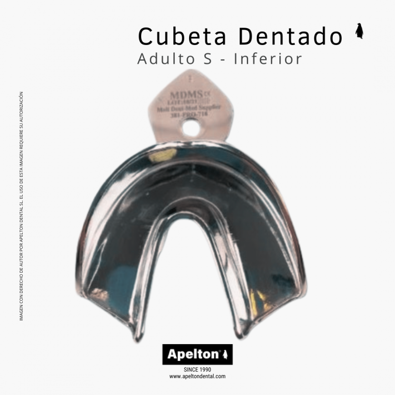 Cubeta tamaño S inferior para adulto dentado