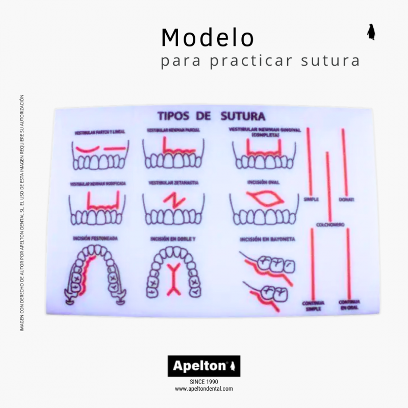 Modelo para practicar sutura, base de esponja