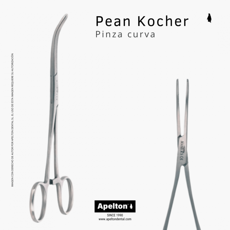 Pinza Pean Kocher hemostática curva 16 cm para cirugía 1851 Master Surgical