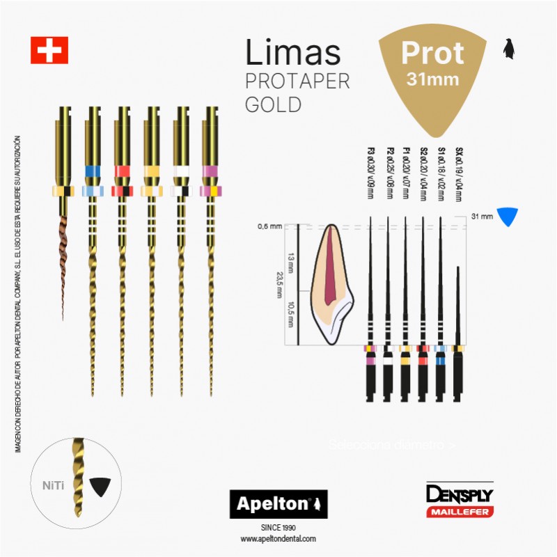 PROTAPER GOLD FILES SET 31 MM MAILLEFER
