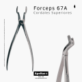 FORCEPS 67A UPPER CORDALS MASTER SURGICAL