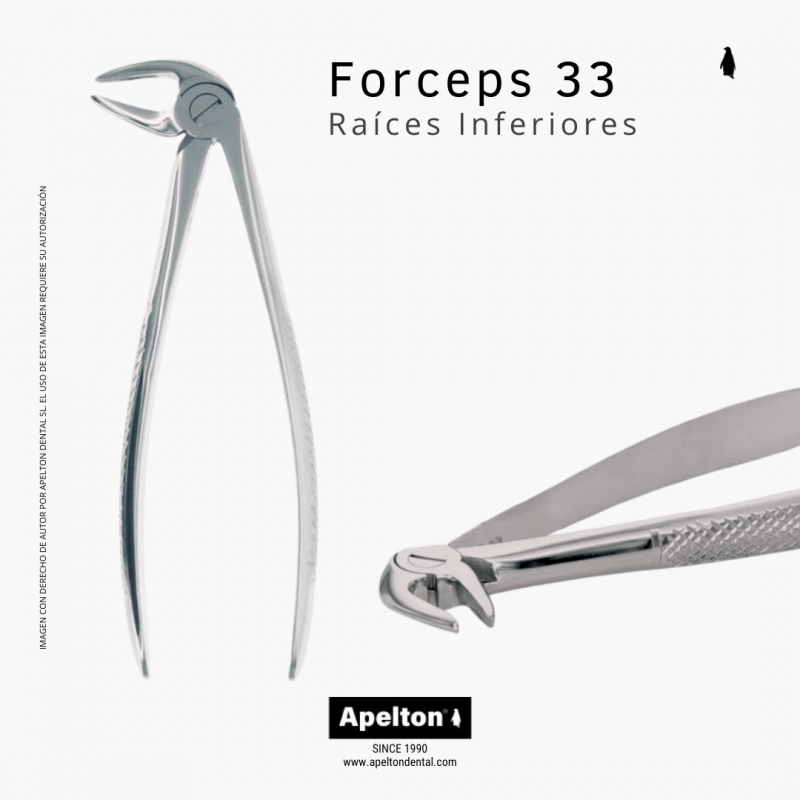 FORCEPS 33 LOWER ROOTS MASTER SURGICAL