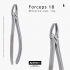 FORCEPS 18 UPPER LEFT MOLARS MASTER