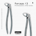FORCEPS 13 LOWER PREMOLARS MASTER