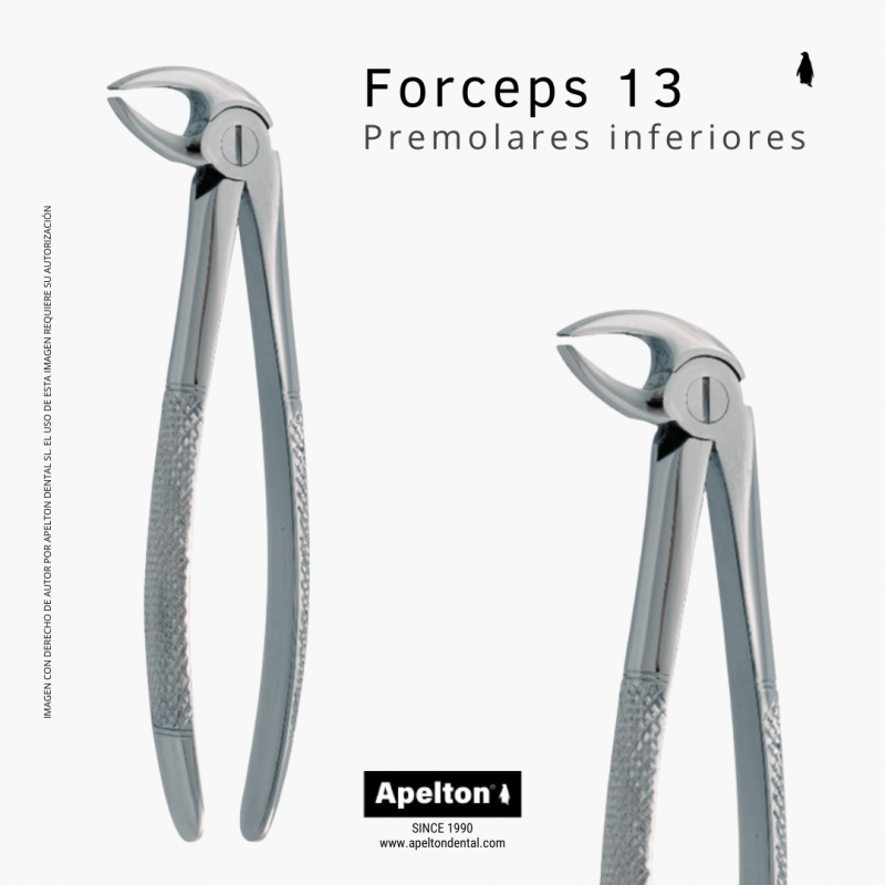 FORCEPS 13 LOWER PREMOLARS MASTER