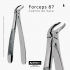 FORCEPS 87 COW HORN MASTER