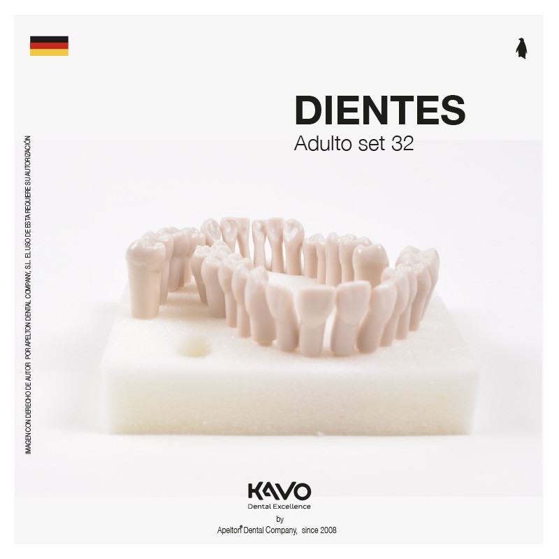DIENTES  ADULTO SET 32 KAVO