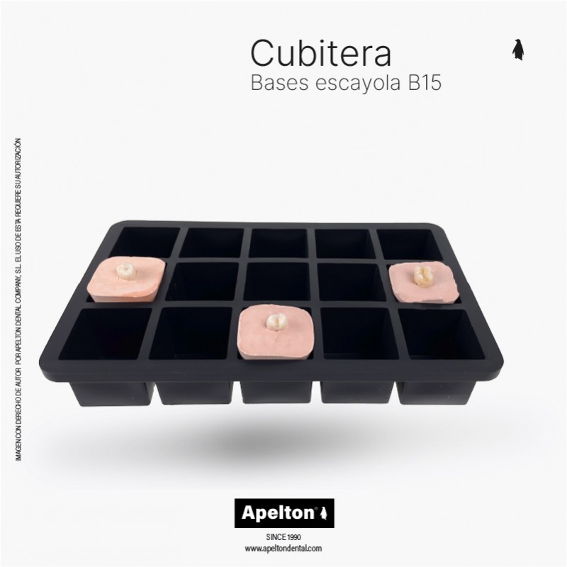 ICE TRAY CASE PLASTER BASES B15