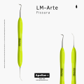 LM-ARTE FISSURA