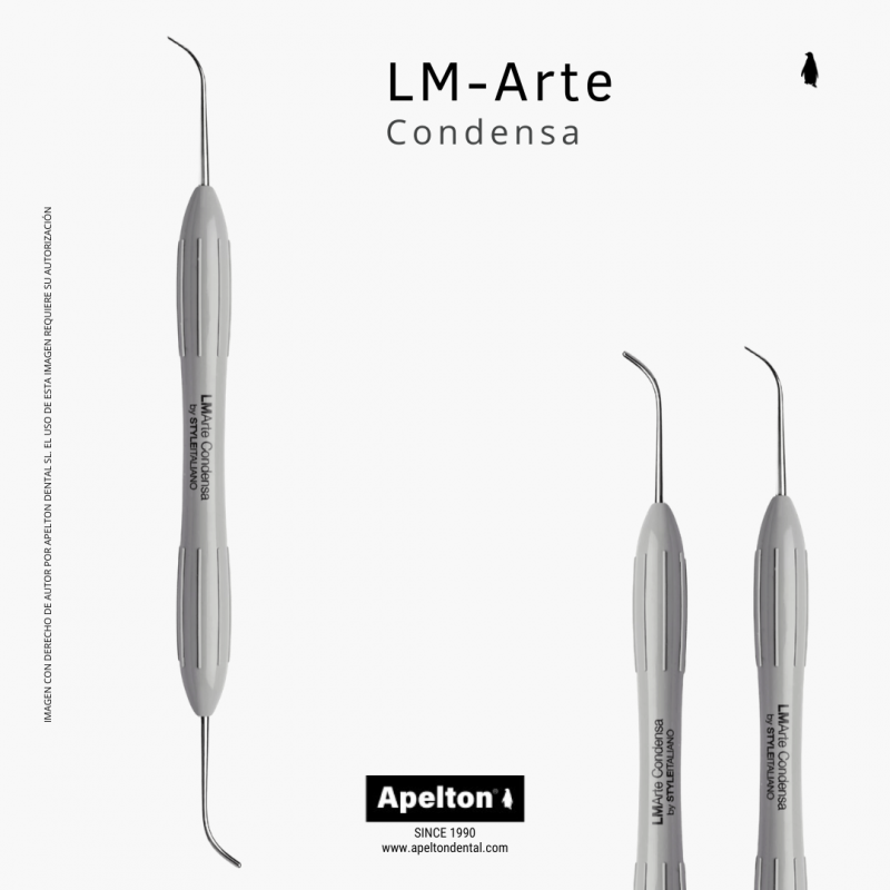 CONDENSADOR 488-489XSI LM