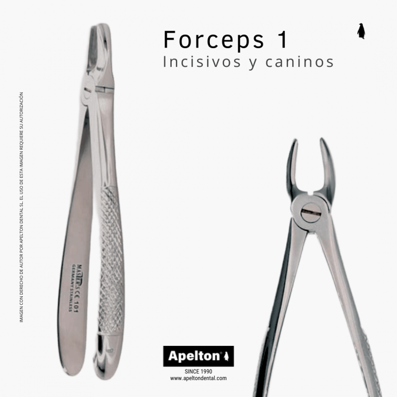 FORCEPS 1 UPPER INCISORS AND CANINES MASTER SURGICAL