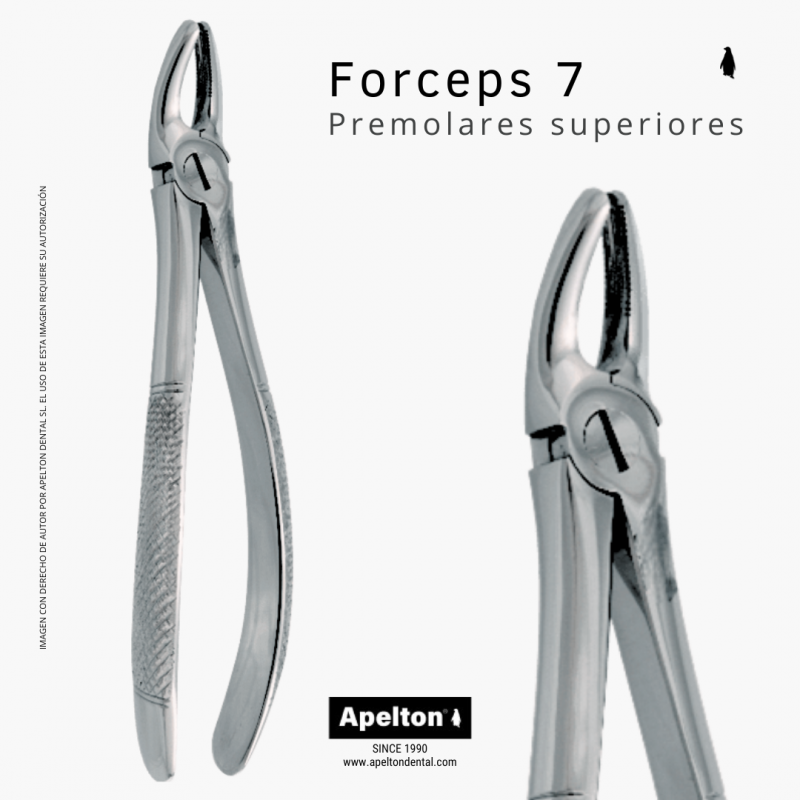 FORCEPS 7 UPPER PREMOLARS