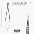 NOYES CURVED 421 MICRO SCISSORS MASTER