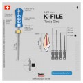 LIMAS K-FILE 21MM MAILLEFER