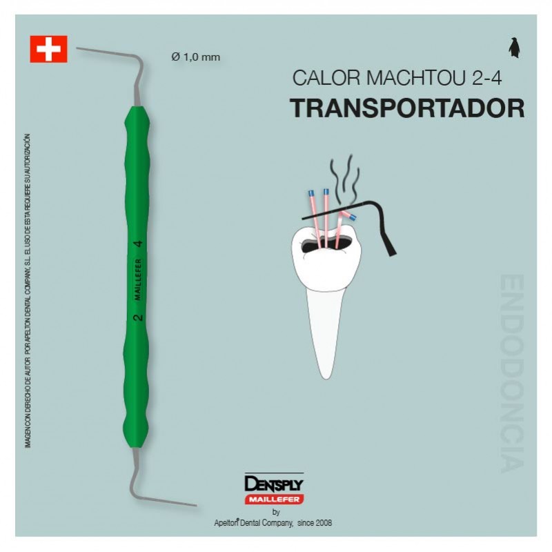 Transportador calor 2-4