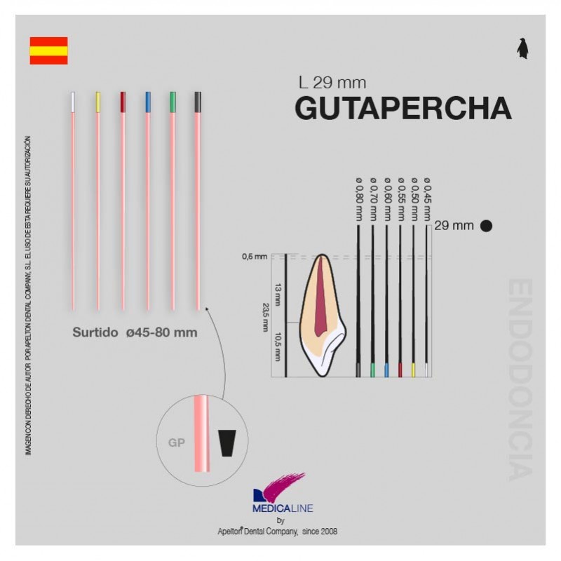 Puntas guttapercha surtida 45-80