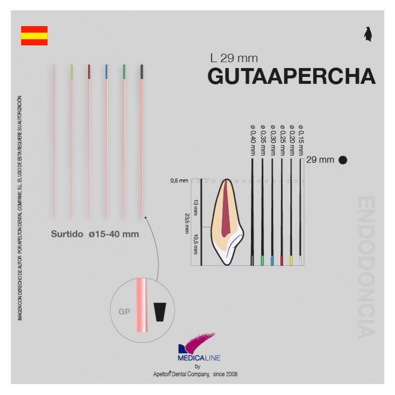 Puntas guttapercha surtida 15-40