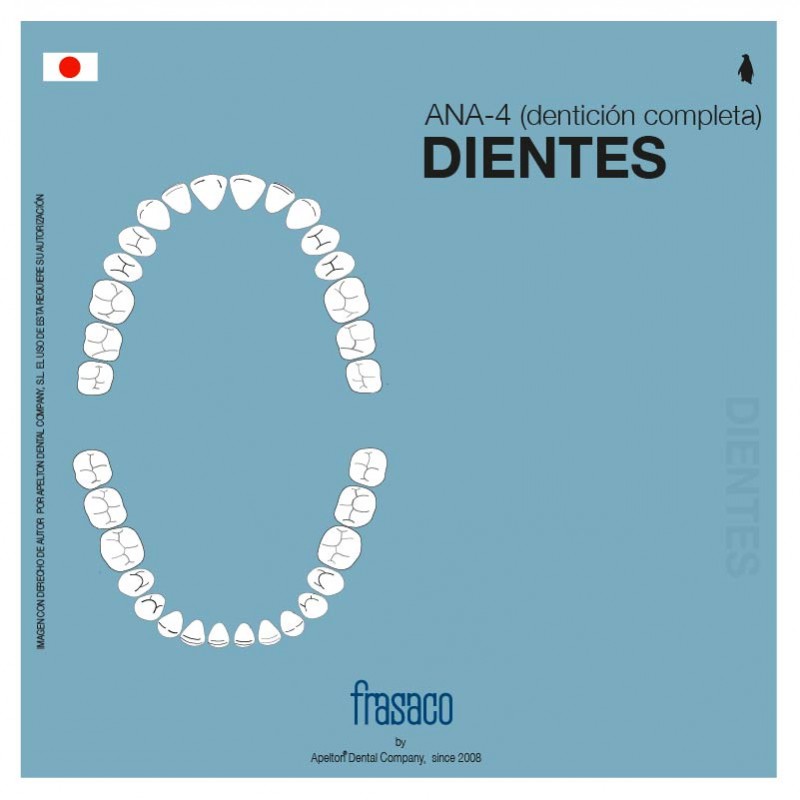 Juego 28 dientes adulto ANA-4