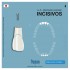 A-3 ZE INCISOR TEETH FRASACO