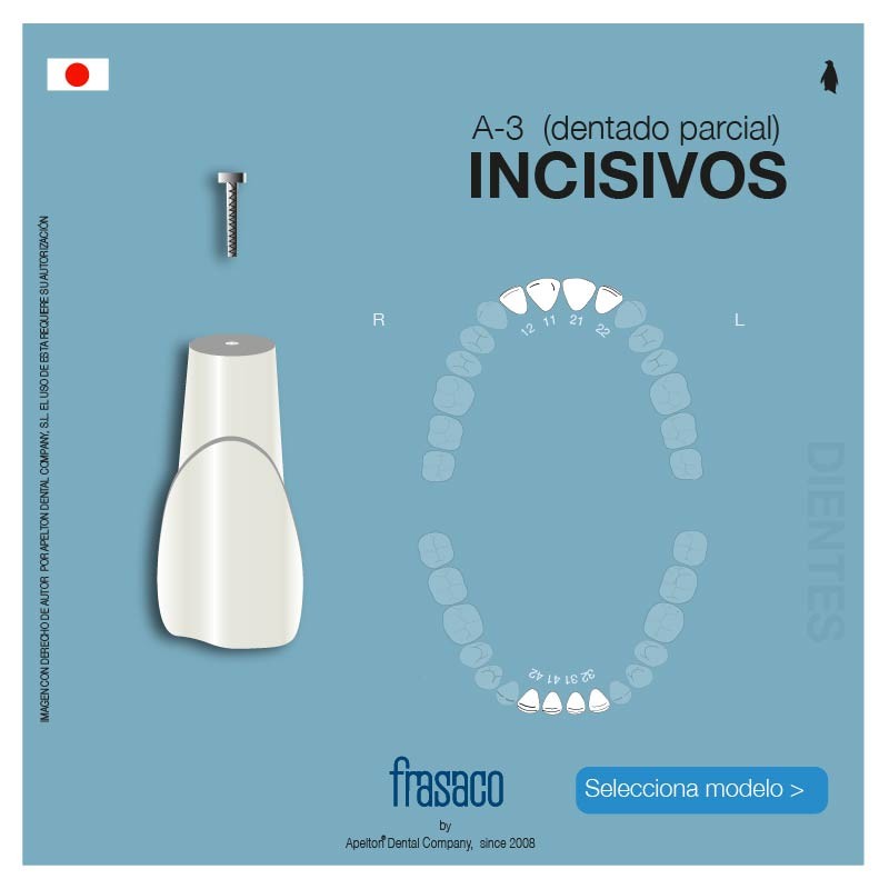 A-3 ZE INCISOR TEETH FRASACO