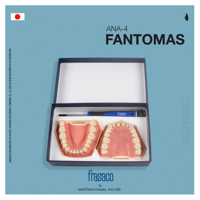 TIPODONTO ANA-4 ADULTO FRASACO