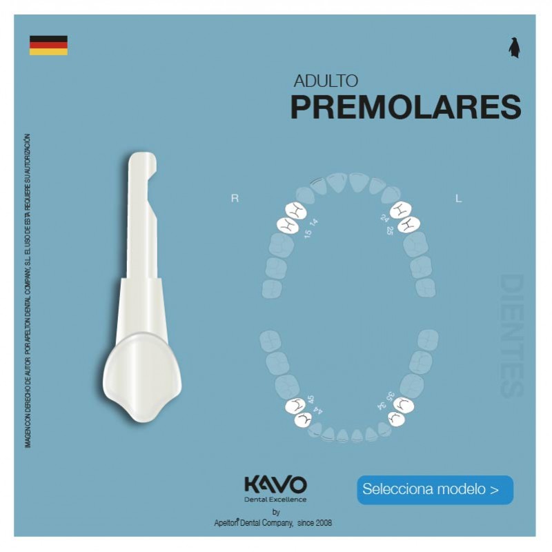 KAVO PREMOLAR TEETH
