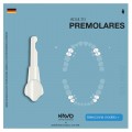DIENTES PREMOLARES KAVO