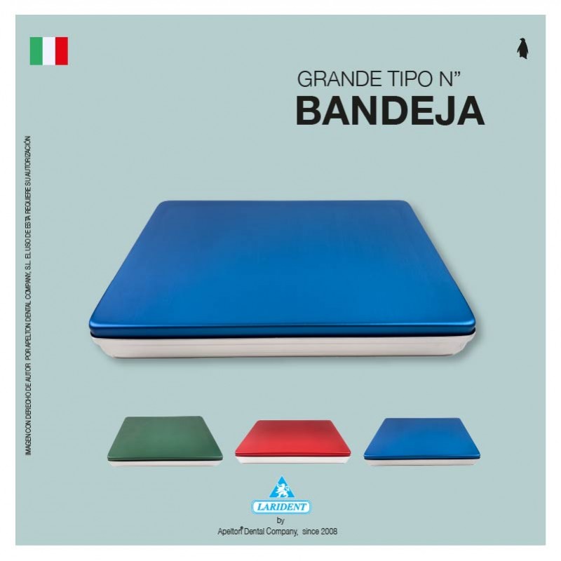 LARGE BLUE TRAY TYPE N LARIDENT