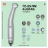 TE-95 RM ALEGRA TURBINE W&H
