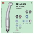TE-95 RM ALEGRA TURBINE W&H